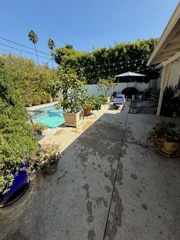 Streamlined Garden Clean-Up and Debris Removal image