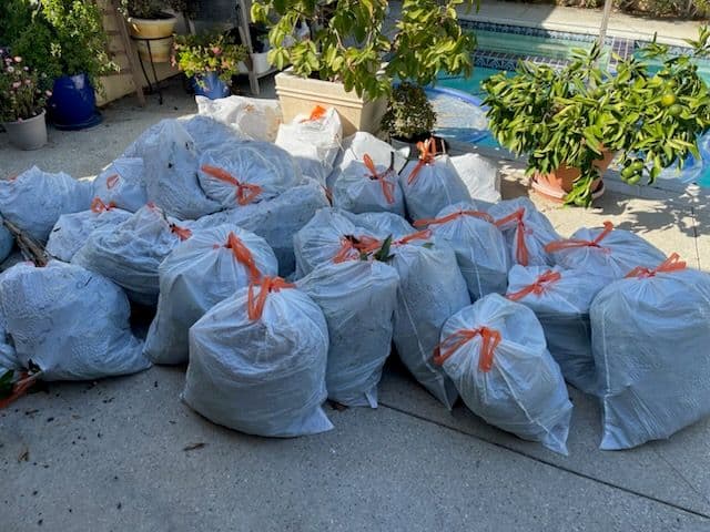 Gallery photos for Streamlined Garden Clean-Up and Debris Removal: Image #1