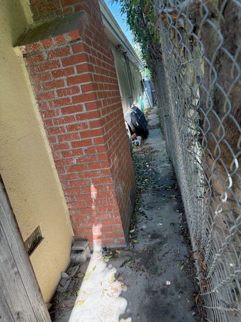 Gallery photos for Streamlined Garden Clean-Up and Debris Removal: Image #2