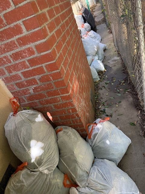 Gallery photos for Streamlined Garden Clean-Up and Debris Removal: Image #3
