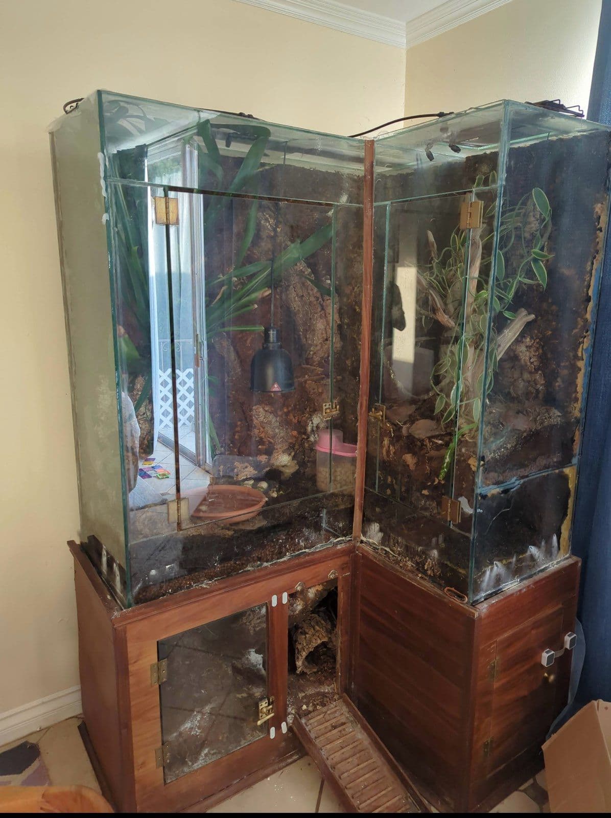 Project Clearing the Clutter - Efficient Junk Removal image