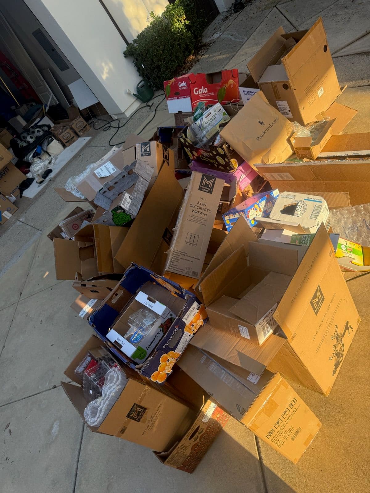 Efficient Box Removal in Woodland Hills