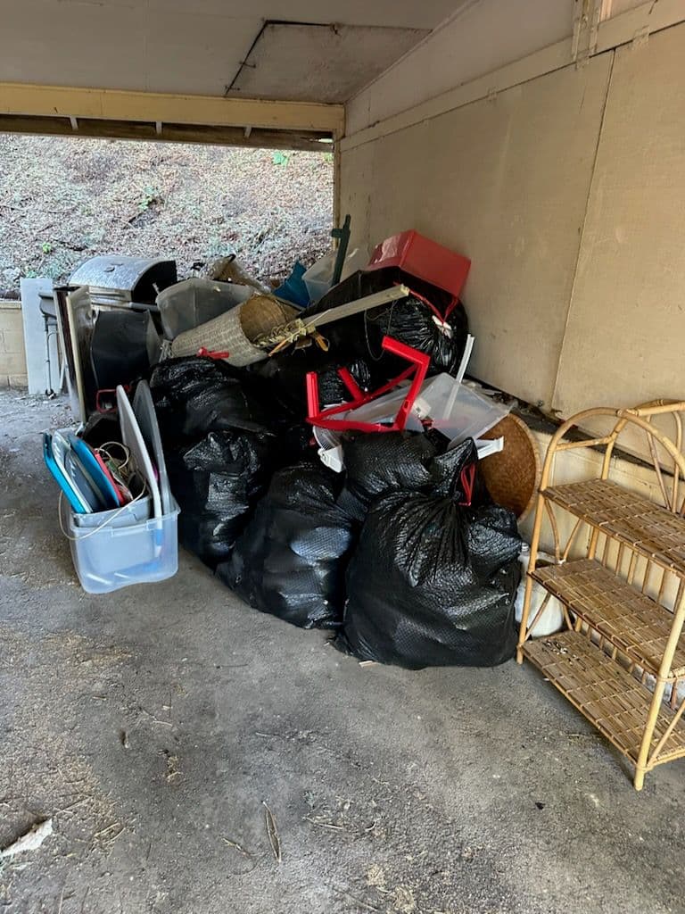 Garage Cleanup in La Cañada image