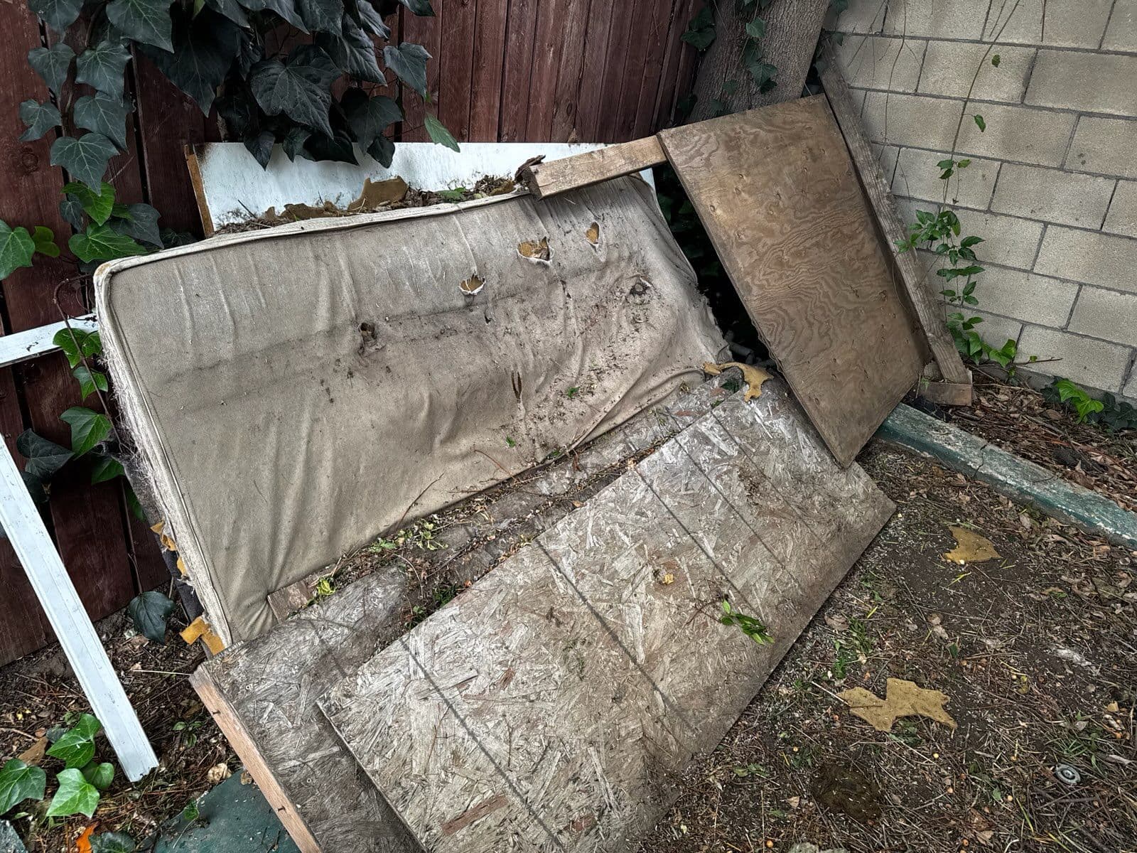 Backyard Transformation Experts in Tarzana image