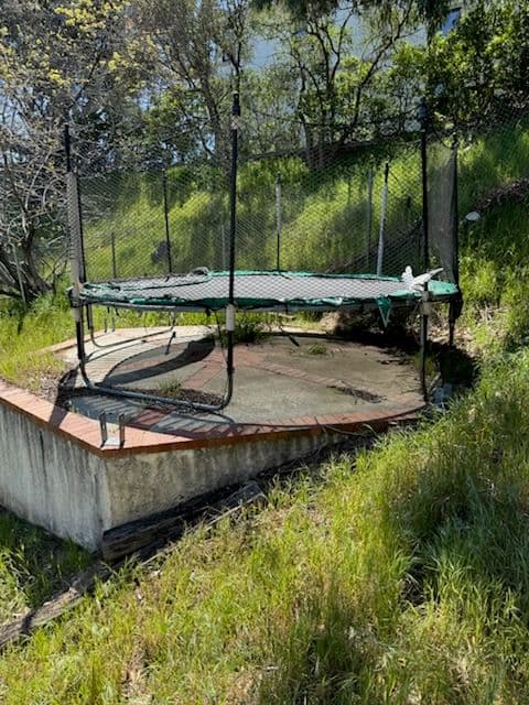 Efficient Trampoline Removal in Encino image