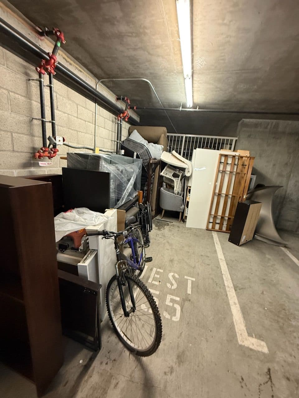 Revitalized Garage Space in Sherman Oaks image