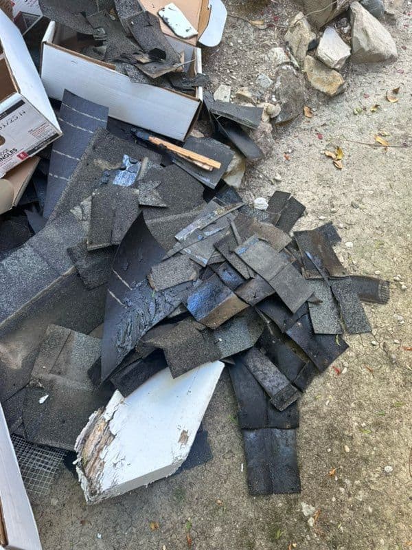 Gallery photos for West Hills Yard Clean-Up: Image #1