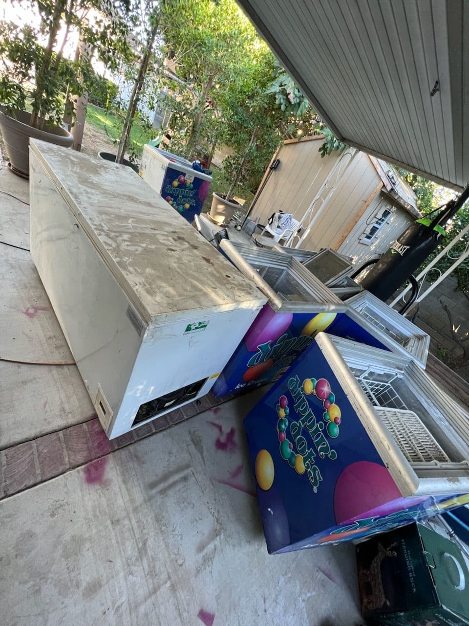 Clearing Out Your Backyard: Streamlined Commercial Freezer Removal image